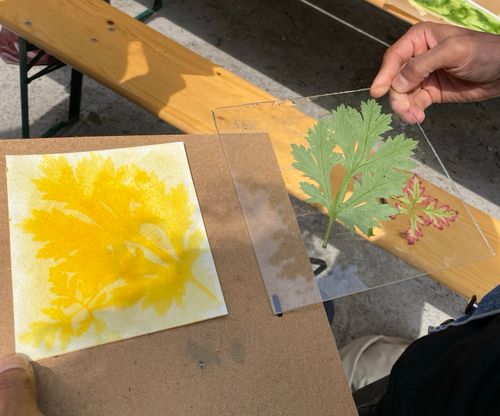 Anthotype workshop (natural dye print)