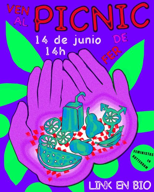Picnic para participar a Feministas en Rotterdam
