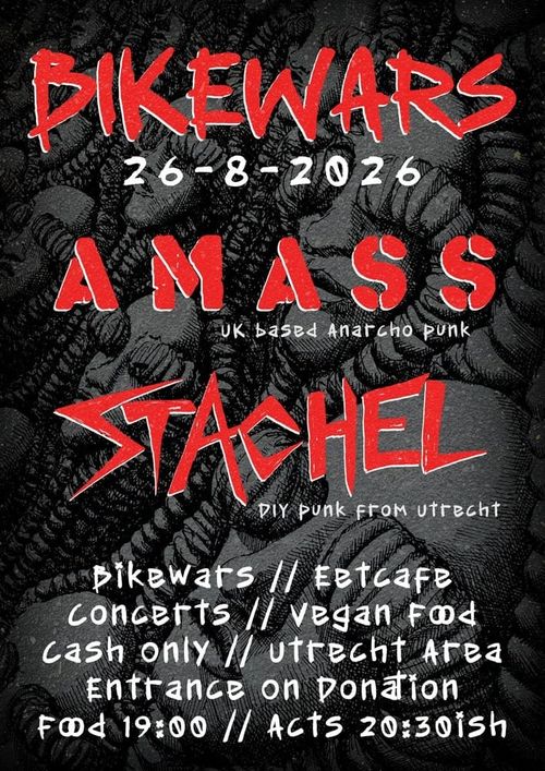 Amass + Stachel 